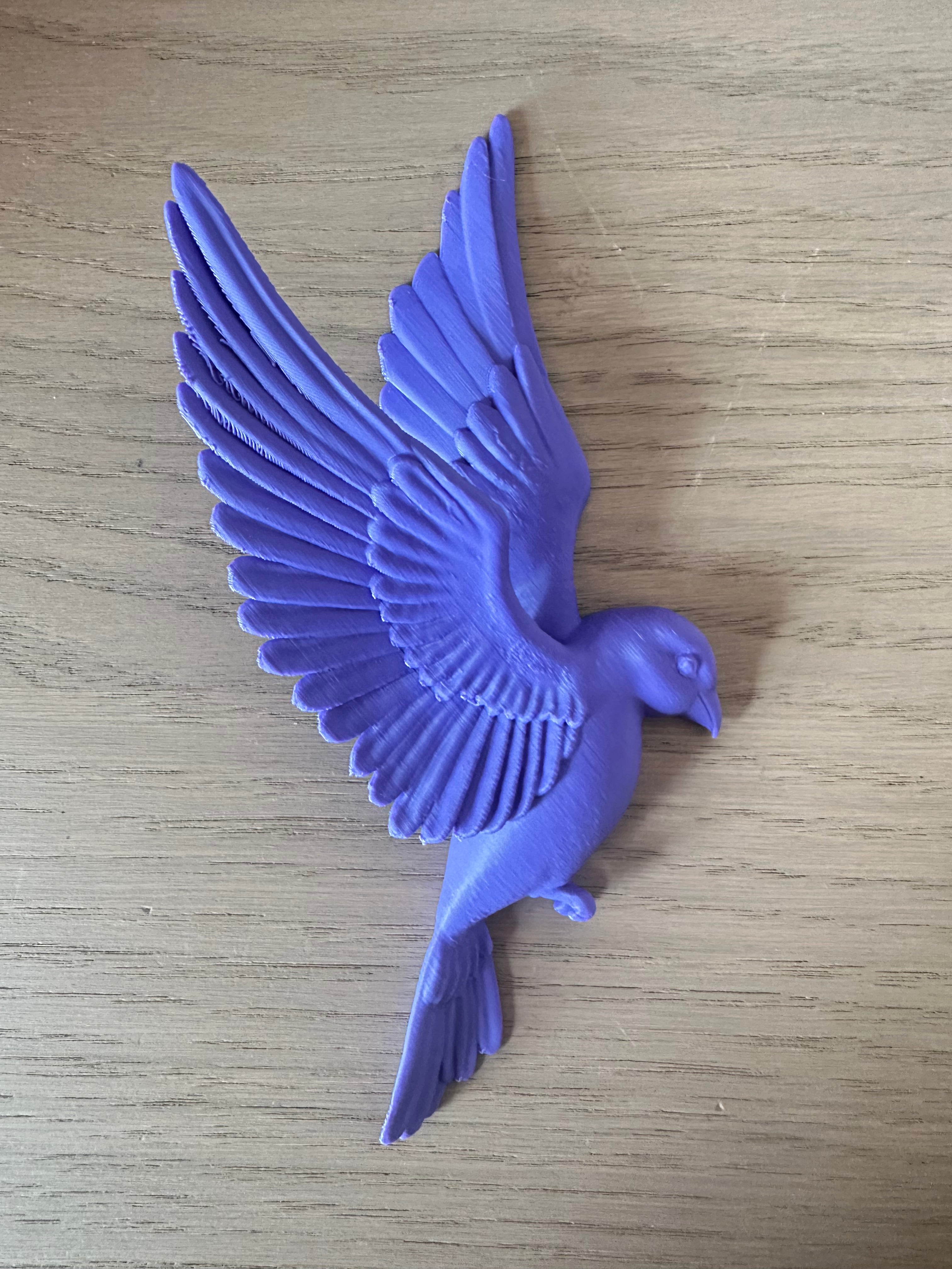 Oiseau couleur violet