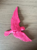 Oiseau couleur Fuschia